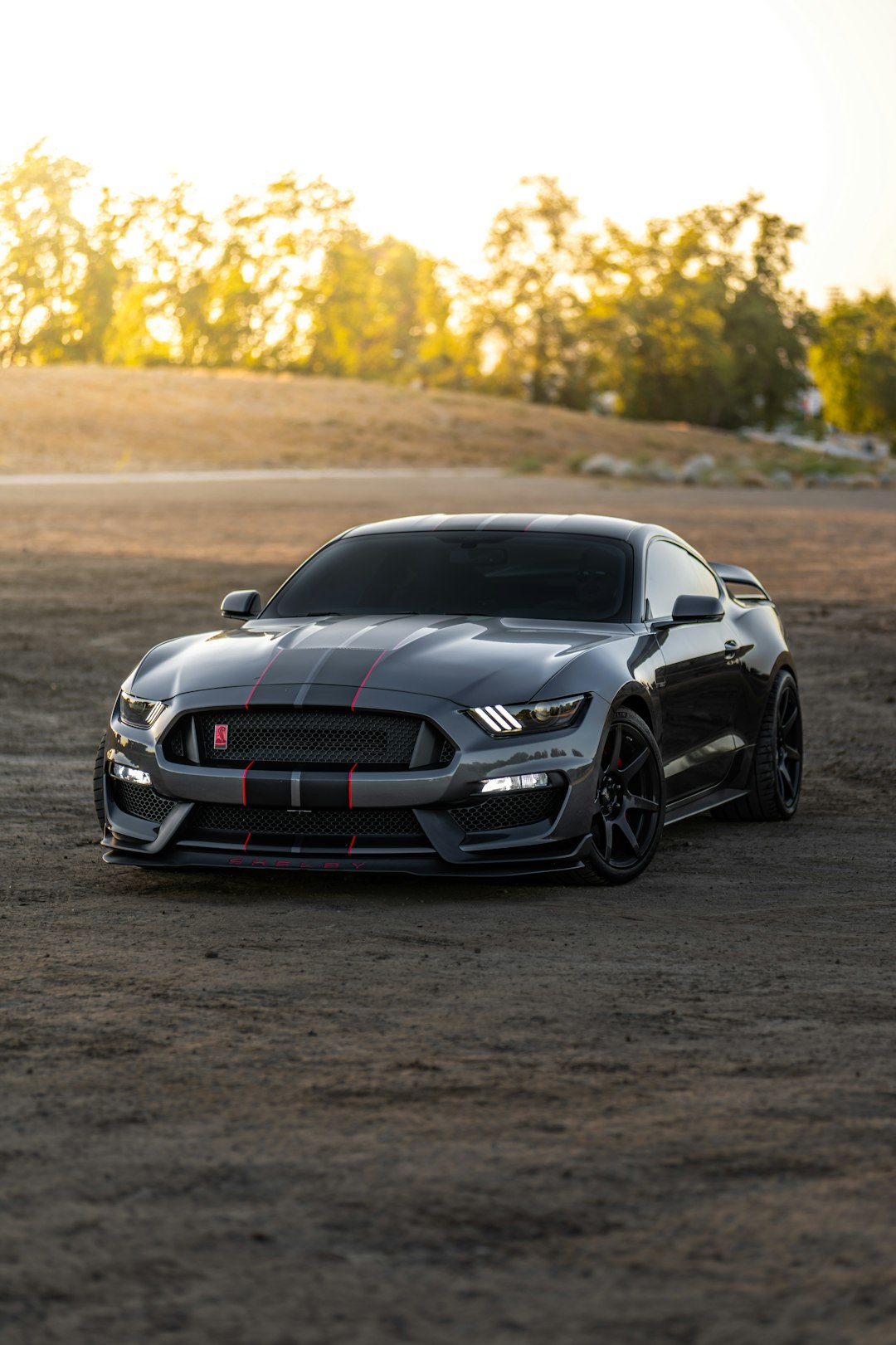 Shelby GT350R